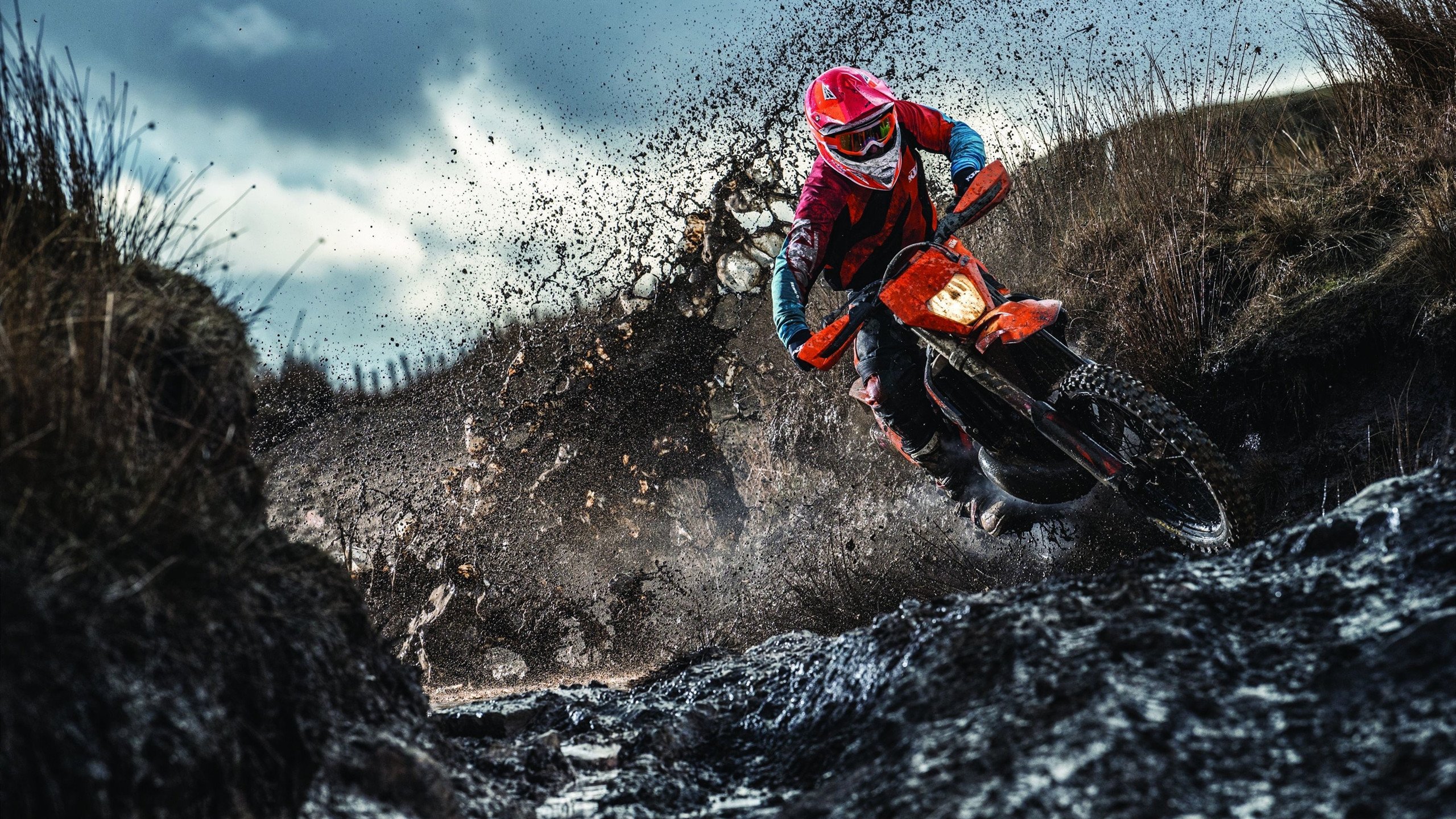 _精彩配角：教练、裁判、工作人员幕后故事_，主教练当裁判