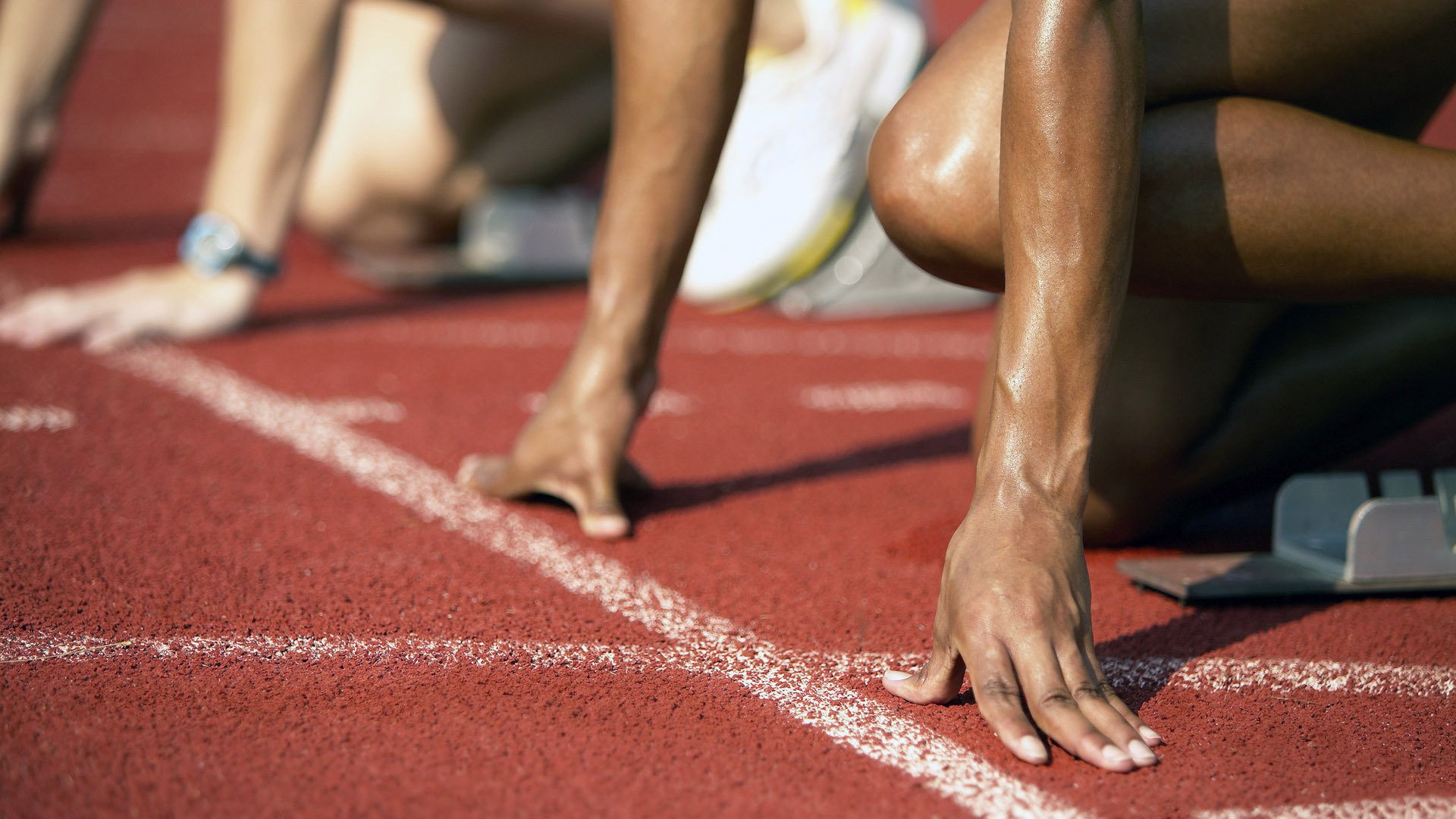 塞内加尔马术协会举办国际马术科技大会，推动行业技术交流与合作。